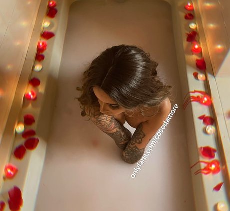 Cocodamore nus étoiles photo