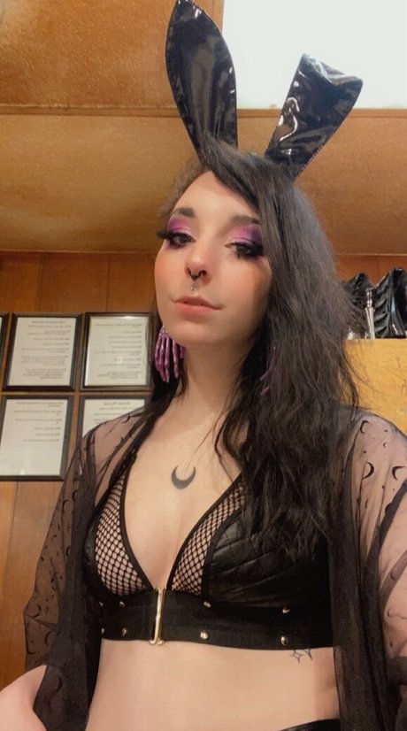 svxxvbvs sexy star pictures