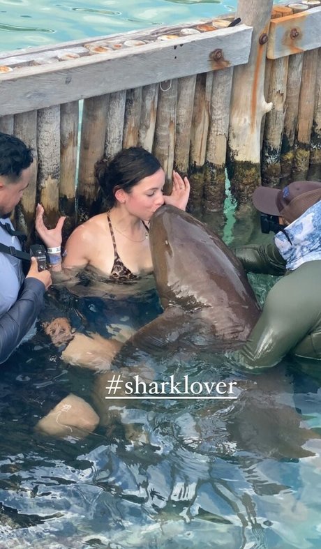 Solibeth Brito modelo sexy galerías