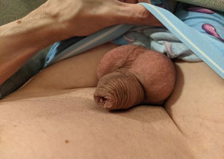 ThatFuckinSquirrel étoile gratuite photos