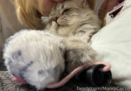 MonroCocos modelo desnuda galerías