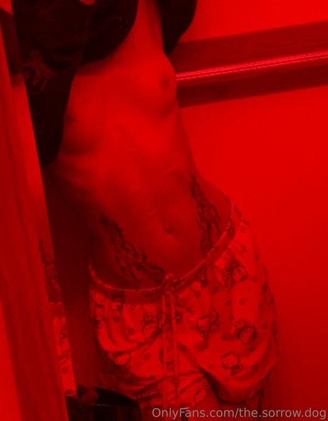 the sorrow dog estrella caliente galería