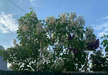 camillacammyy modelo caliente foto