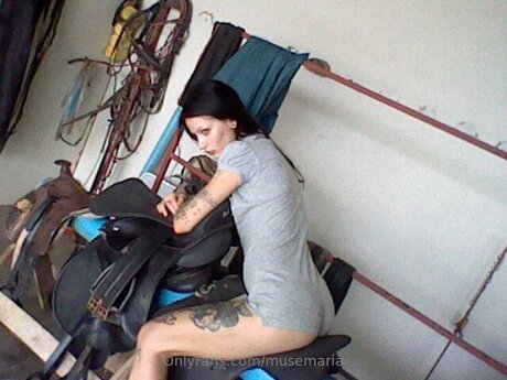 musemaria bonita estrella foto