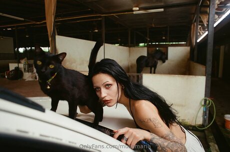 musemaria étoile gratuite collection