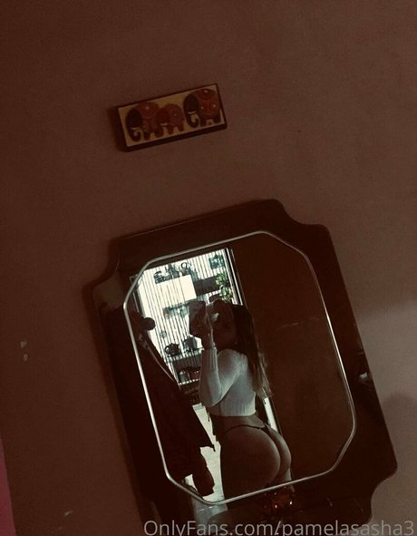 pamelasasha3 estrella caliente galerías