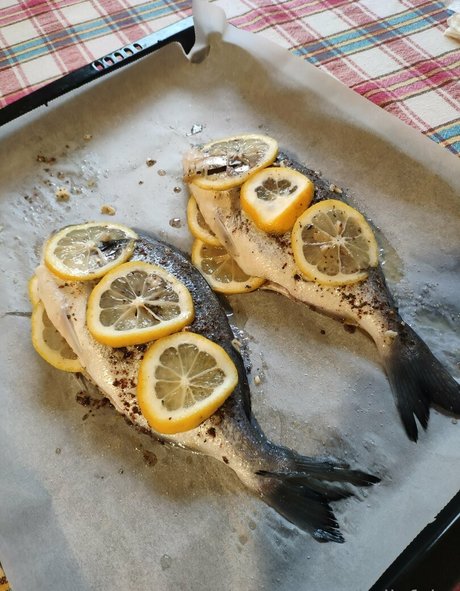 kellyfairy modèle exclusif img