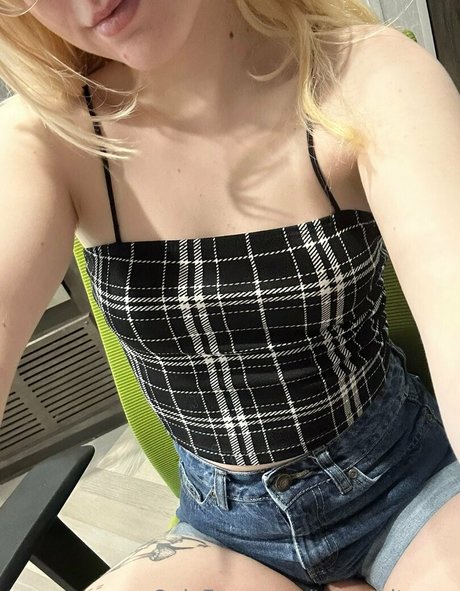 tatsandtunez estrella de alta definición imagen