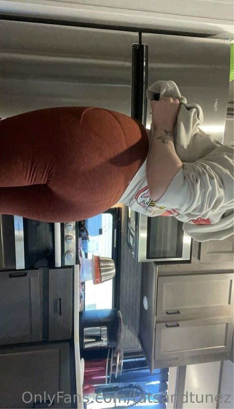 tatsandtunez haut de star du porno collection