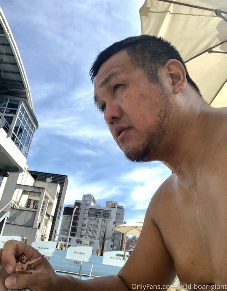 wild boar giant art star du porno archive