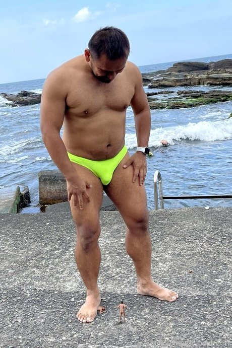 wild boar giant meilleure star du porno img