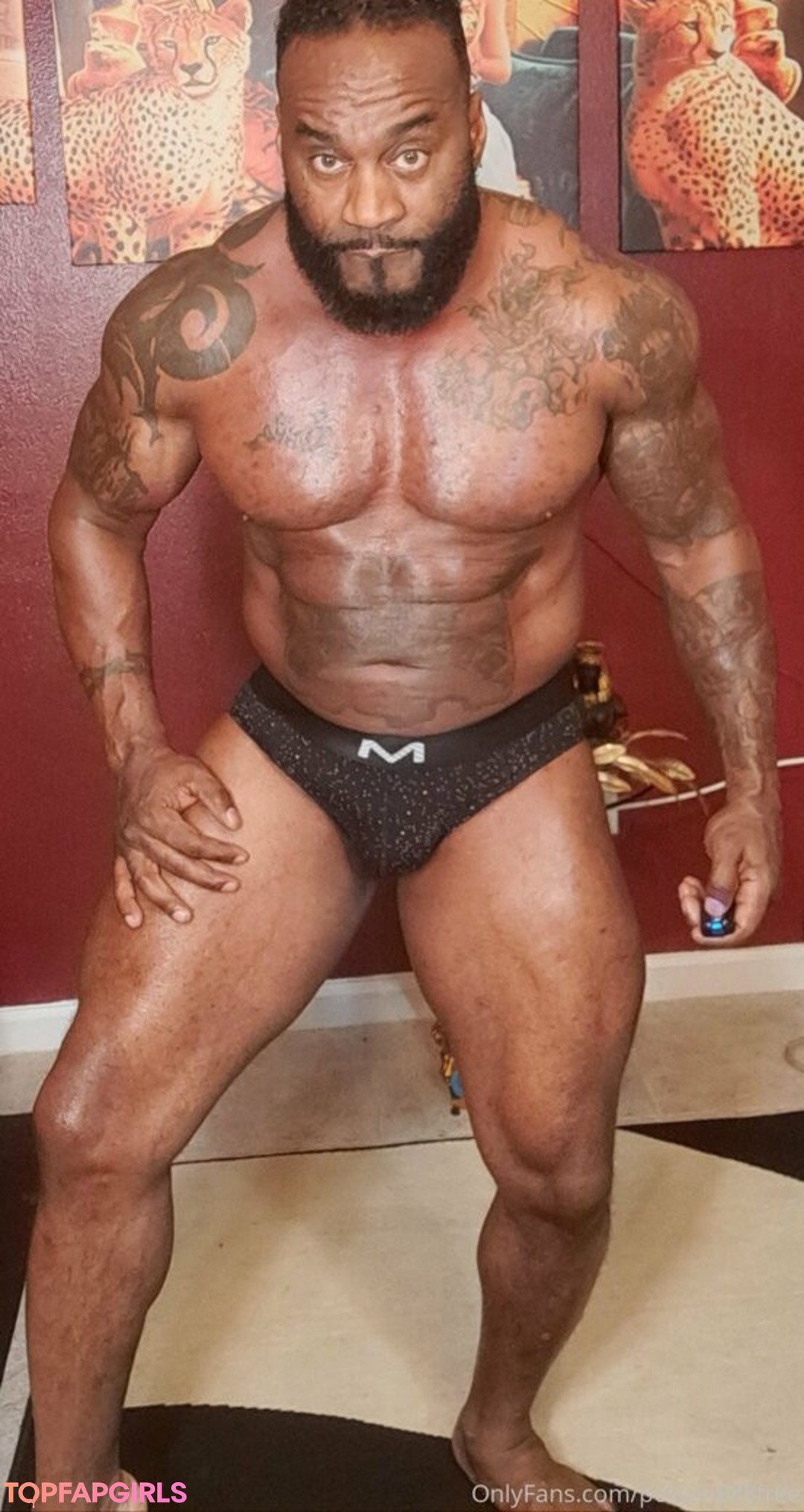 toolsfreepage estrella atractiva recopilación