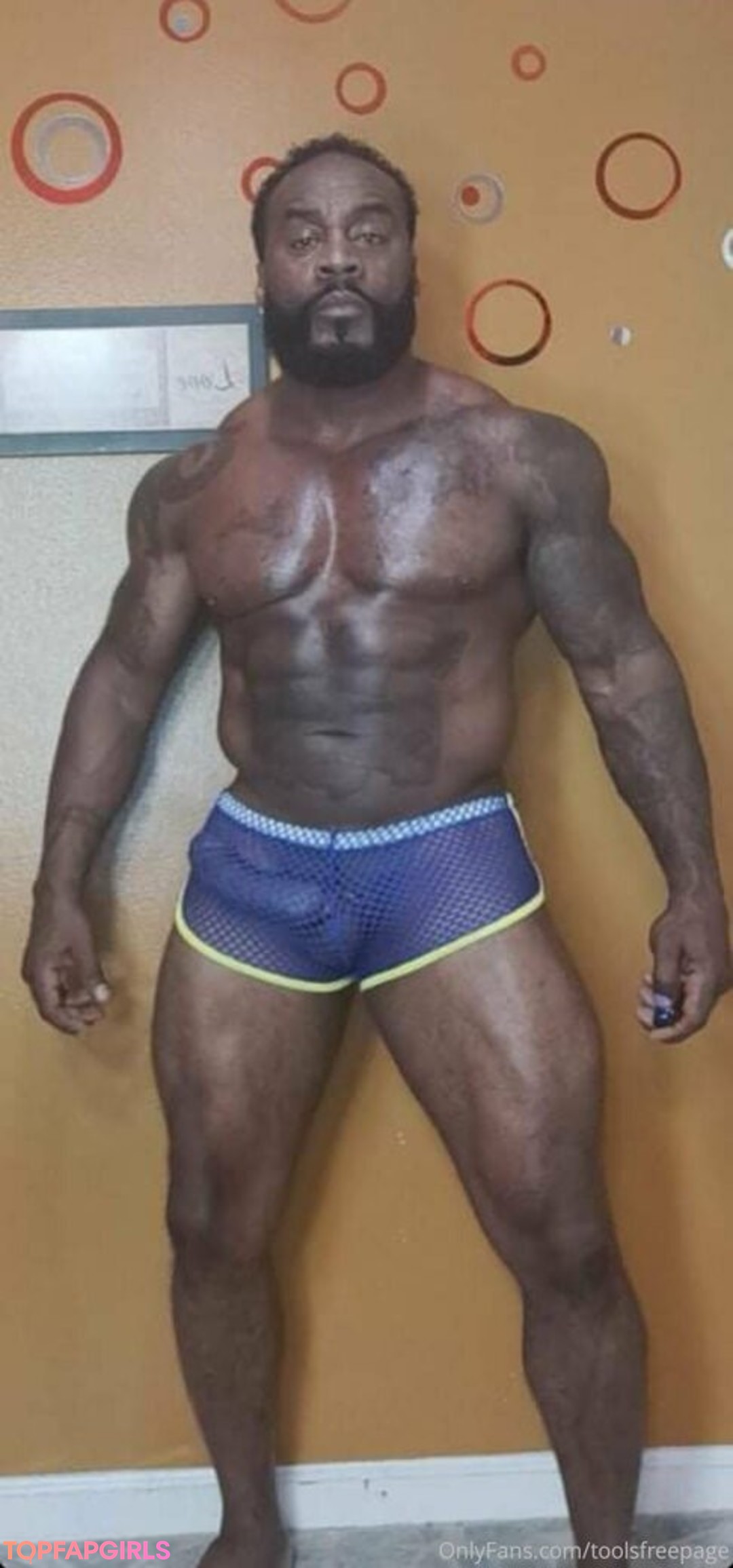 toolsfreepage estrella exclusiva recopilación