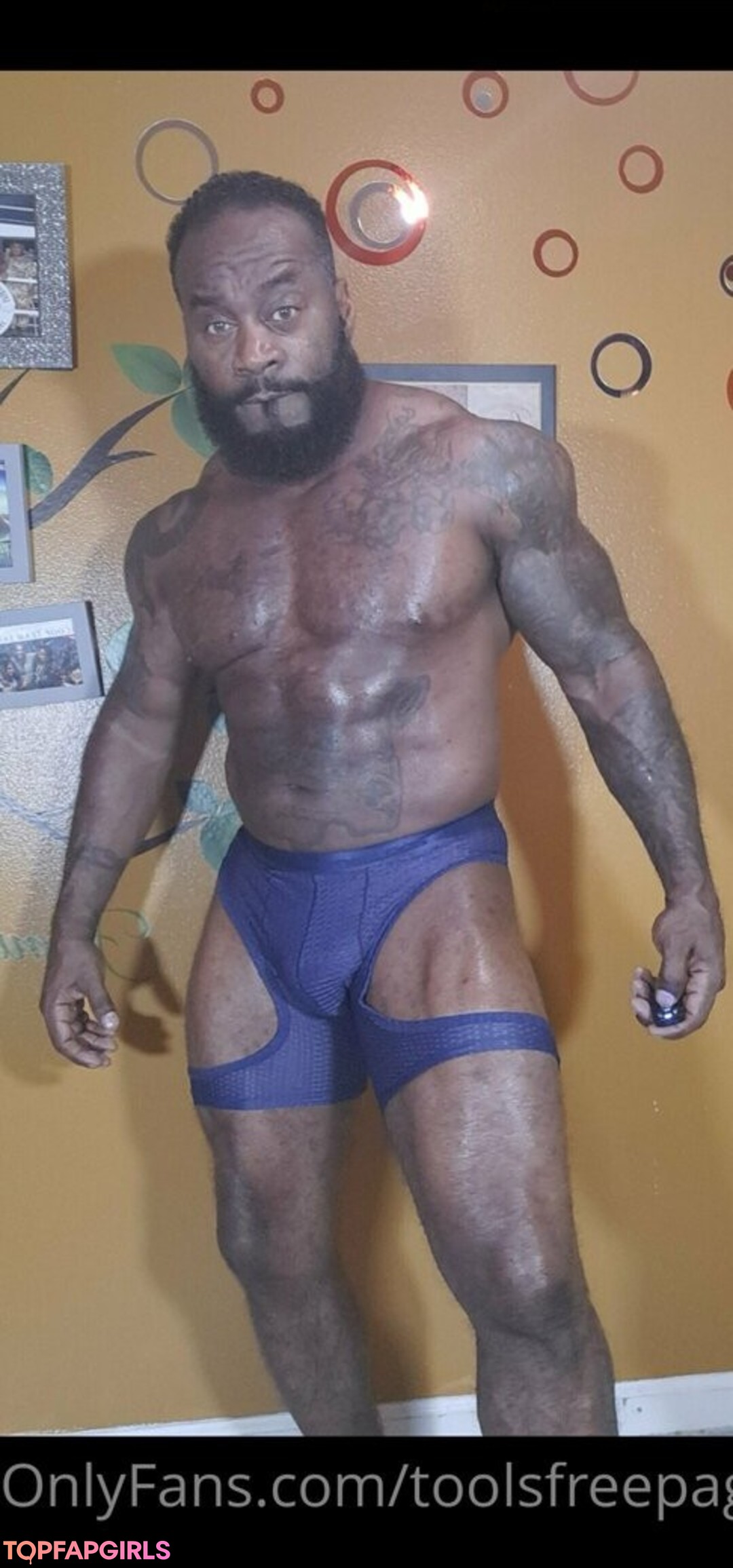 toolsfreepage estrella adulta recopilación