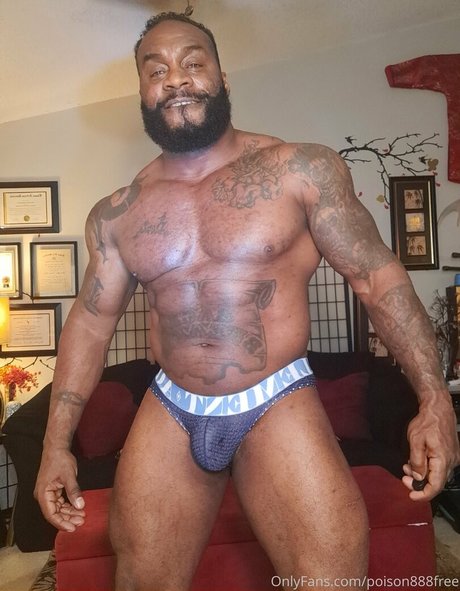 toolsfreepage estrella exclusiva galerías