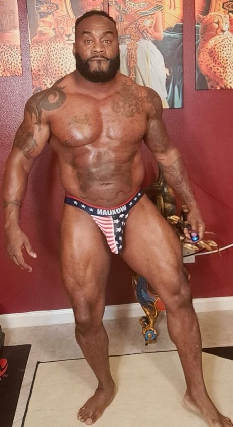 toolsfreepage modelo atractivo recopilación