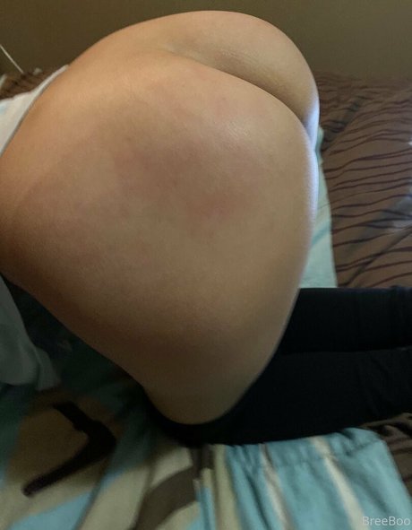 breeboo porn model archive