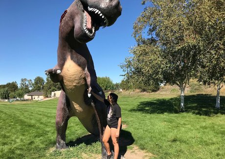 acidaddict modèle parfait galerie