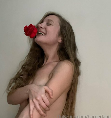 harperlane estrella porno agradable recopilación