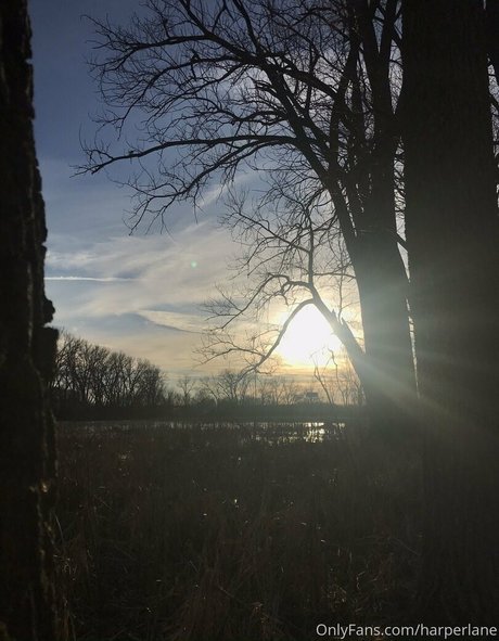 harperlane jolie actrice img