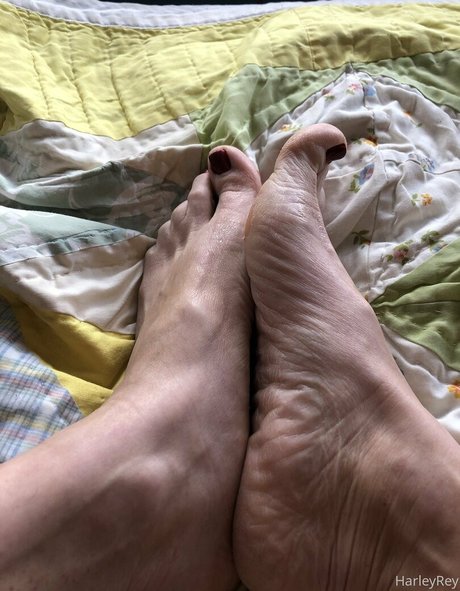 harleyrey star du porno sexy collection