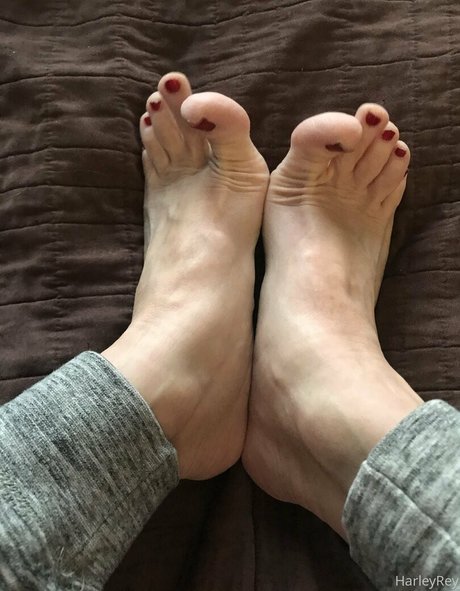 harleyrey estrella erótica recopilación