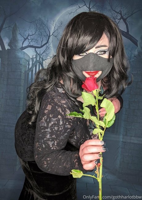 gothharlotbbw estrella perfecta galerías