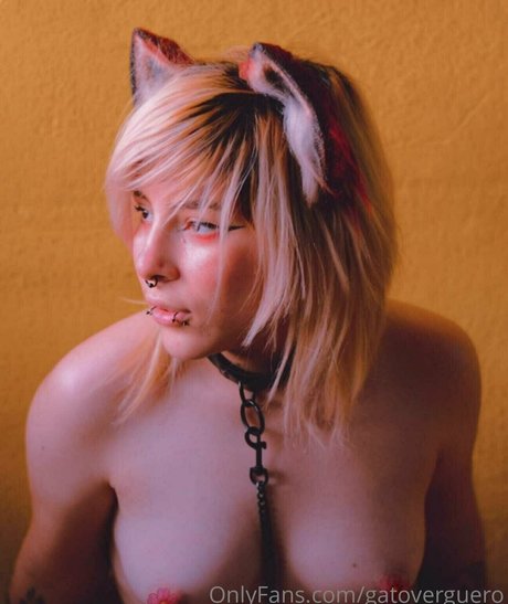 gatoverguero étoile de haute qualité galeries