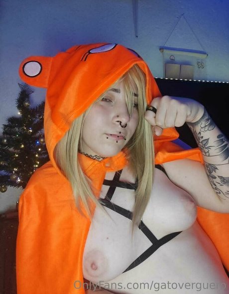 gatoverguero modèle meilleur img