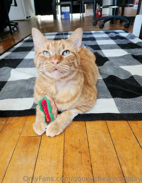 gooeychewycosplay sexe de star du porno galerie