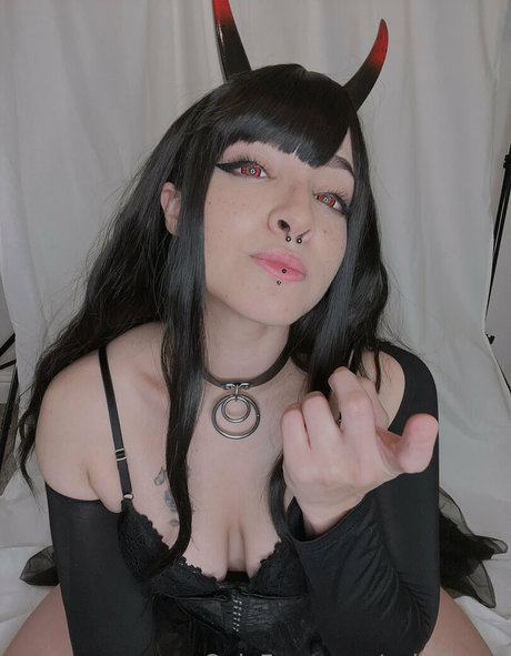 colechyv2 haut modèle image