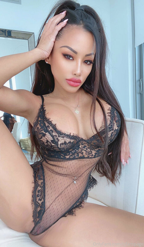 cjfanspage haut modèle galeries