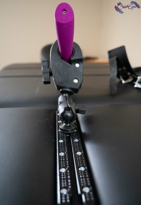 cuiogeofree hermosa estrella recopilación