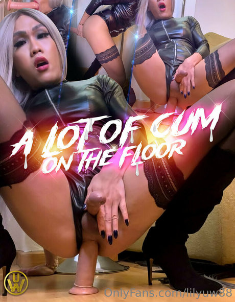 lilyuw88 art de star du porno galeries