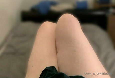 shes a wallflower star du porno adulte photo