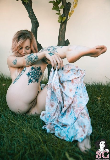 Ninaq étoile magnifique images