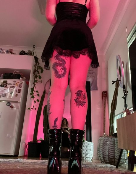 analwonderland meilleur modèle galerie