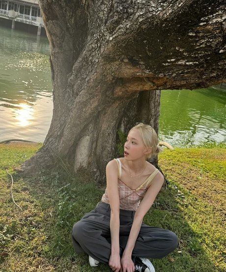 Winter spa arte estelar recopilación