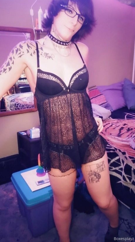 SoftBoxBoi étoile gratuite archive