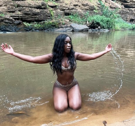 TV Shopping Presenters étoile gratuite galeries