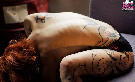 Mnemozyne estrella hd imagen