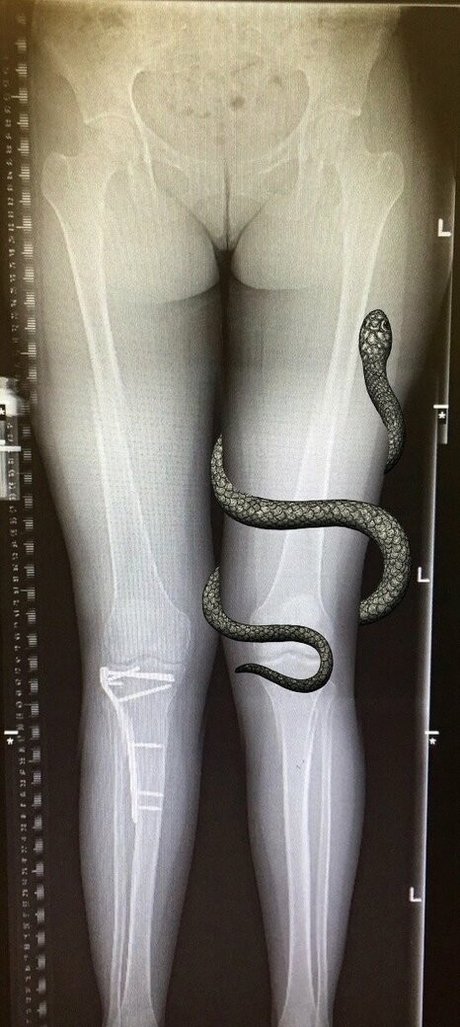 grungifungifree actriz galería