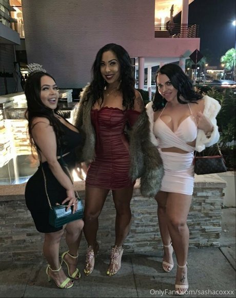 sashastallion estrella porno bonita imagen