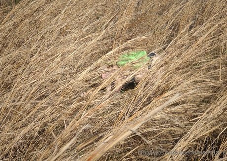 madamedragnir estrella perfecta galería