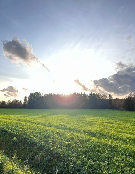 i sophie belle star du porno image