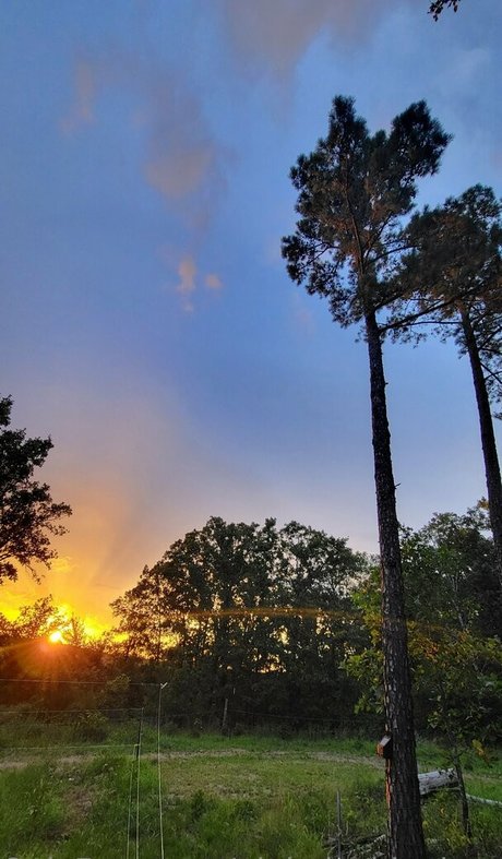 pinkplushieplants estrella porno atractiva galería