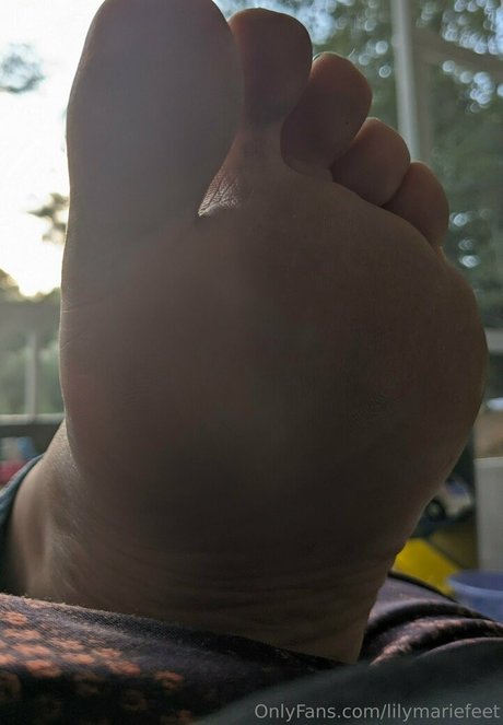 lilymariefeet model sex image