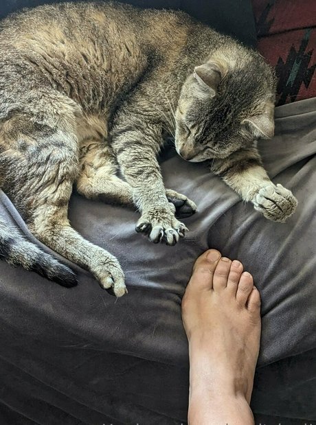 mexhotchocolate sexe de star du porno galeries