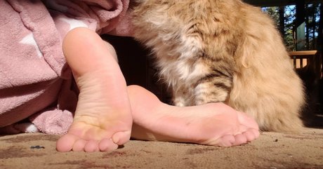 softcorekittyx star nudes picture