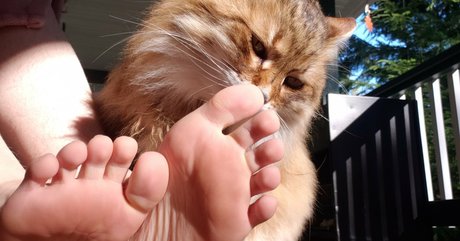 softcorekittyx model adult pic